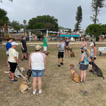 Jason Harris Dog Training Port Macquarie