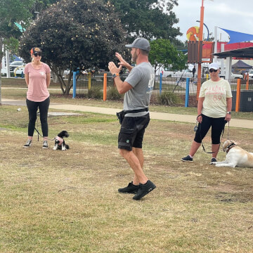 Jason Harris Dog Training Port Macquarie