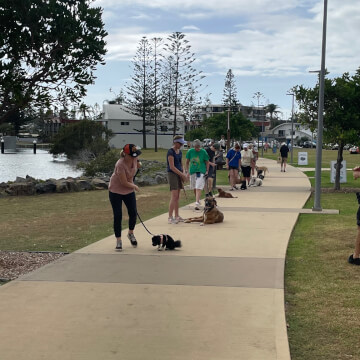 Jason Harris Dog Training Port Macquarie