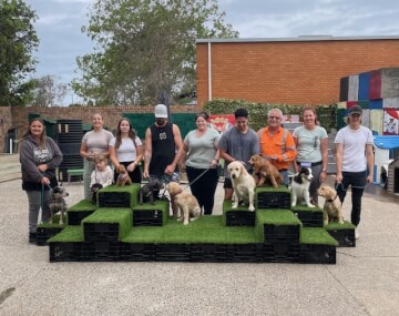 Jason Harris Dog Training Port Macquarie