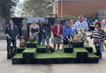 Jason Harris Dog Training Port Macquarie