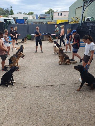 Jason Harris Dog Training Port Macquarie