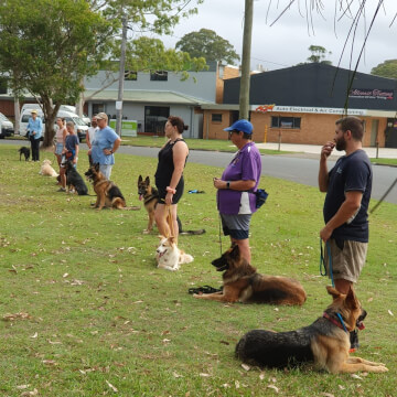 Jason Harris Dog Training Port Macquarie