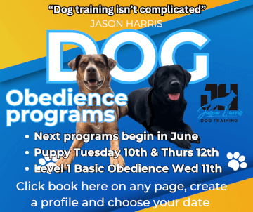 Jason Harris Dog Training Port Macquarie