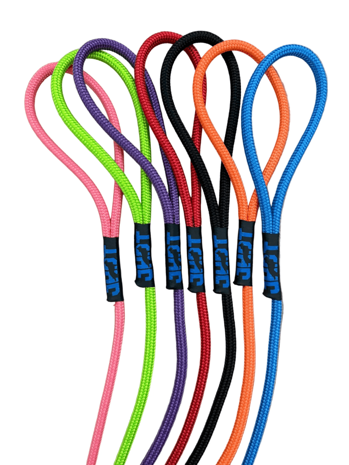 Jason Harris Dog Training Port Macquarie