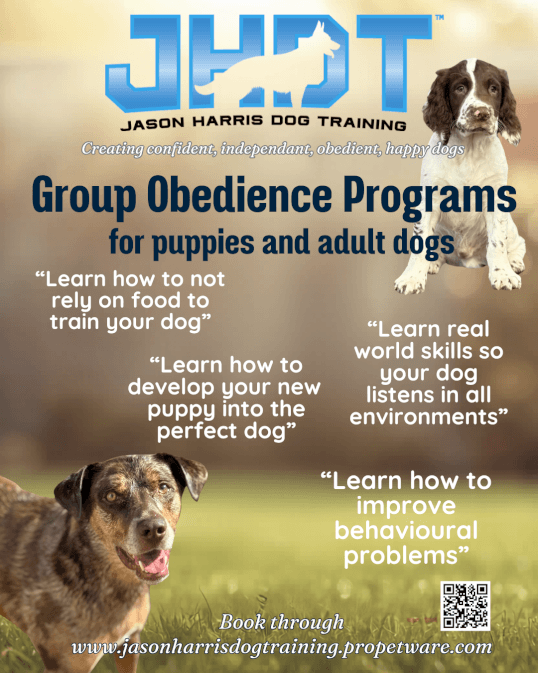 Jason Harris Dog Training Port Macquarie