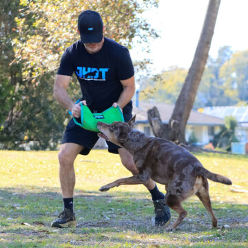 Jason Harris Dog Training Port Macquarie