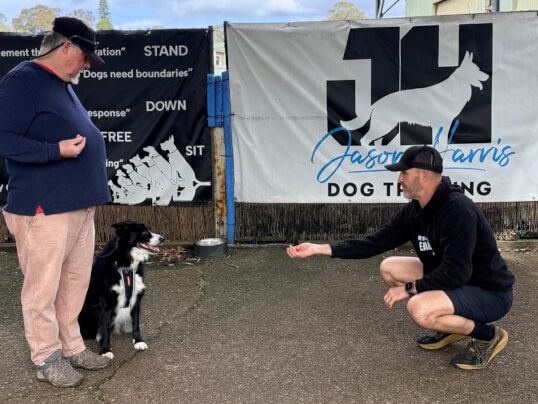 Jason Harris Dog Training Port Macquarie